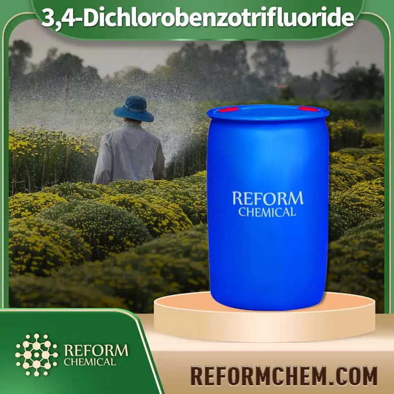 3 4 dichlorobenzotrifluoride