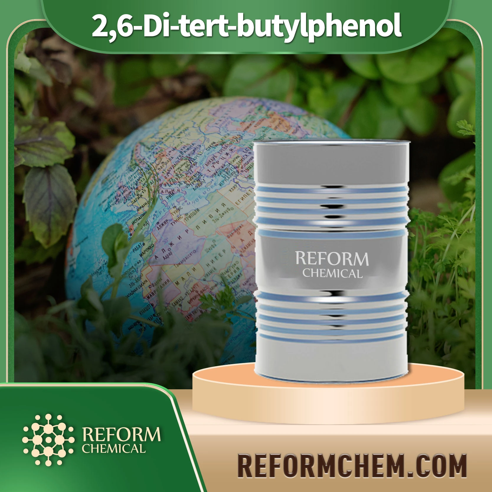 2 6 di tert butylphenol 128 39 2 19126 15 9