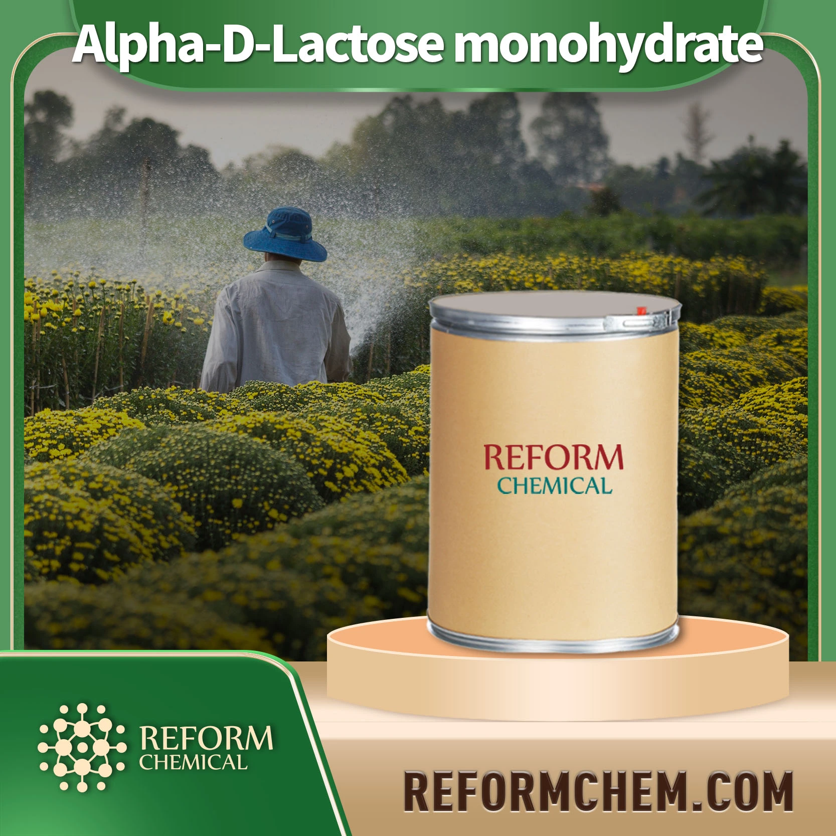 alpha d lactose monohydrate 5989 81 1