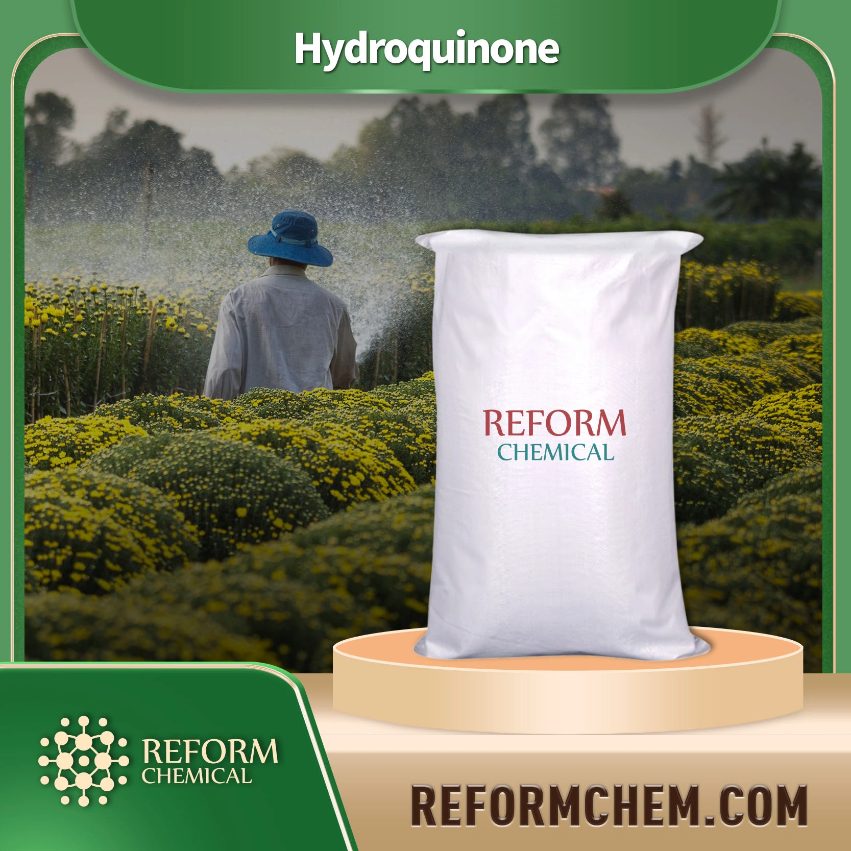 hydroquinone123 31 9