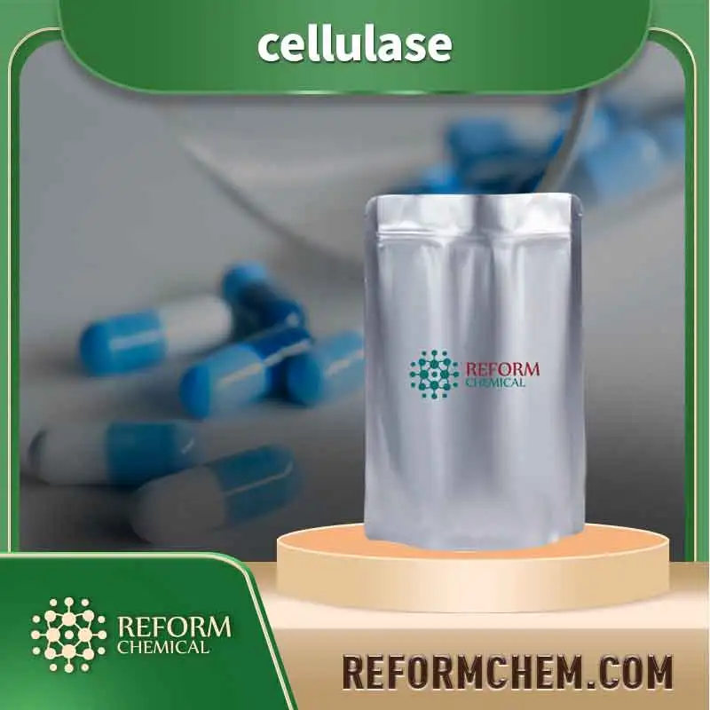 cellulase 9012 54 8